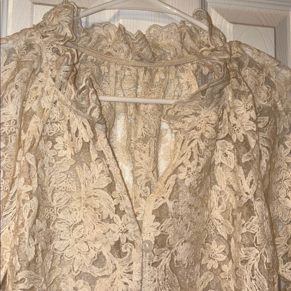 Elegant Cream embroidered Lace sheer Blouse - Picture 3 of 8